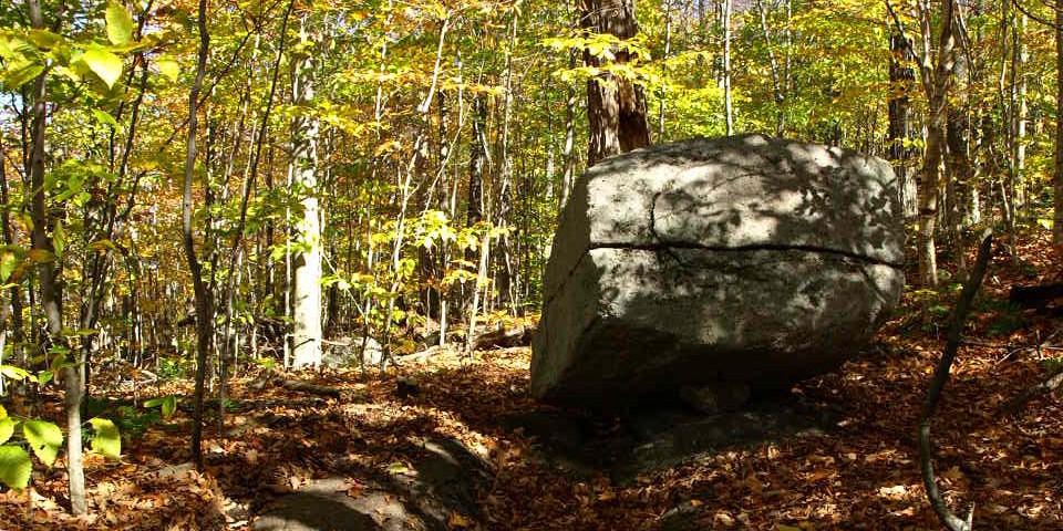 A large boulder in the woods