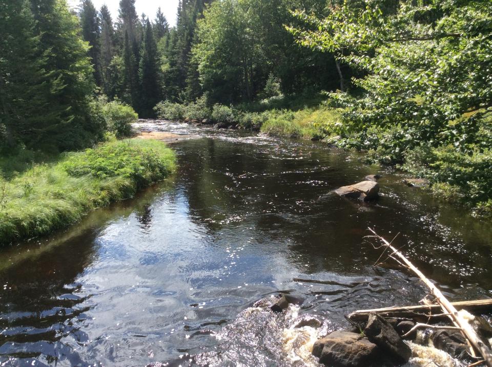 Fishing and hiking at Quebec Brook.