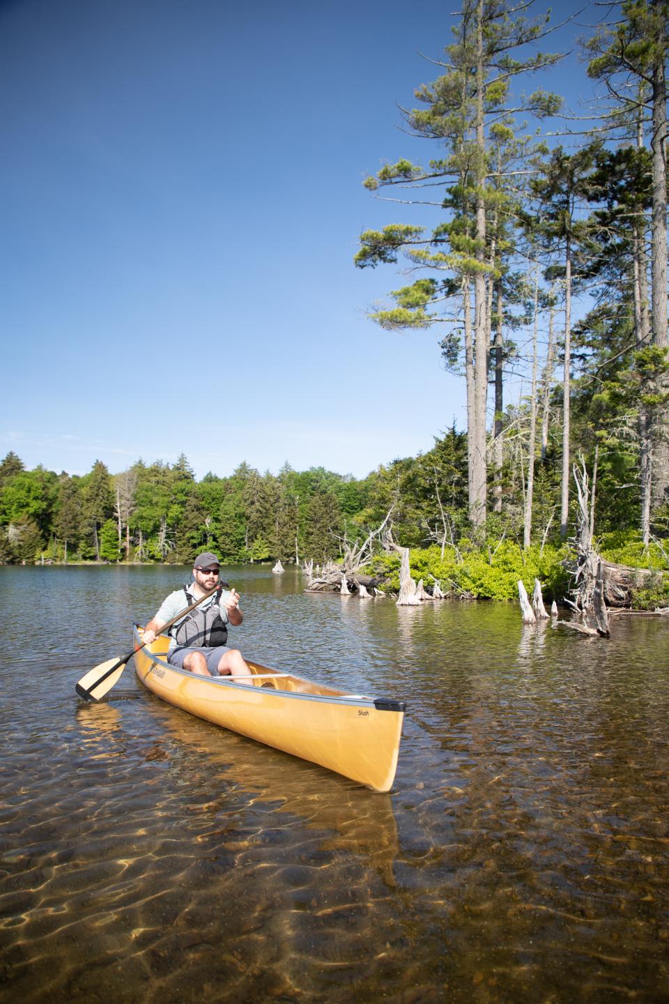 Pond hop to your heart's content in the St. Regis Wilderness Canoe Area.