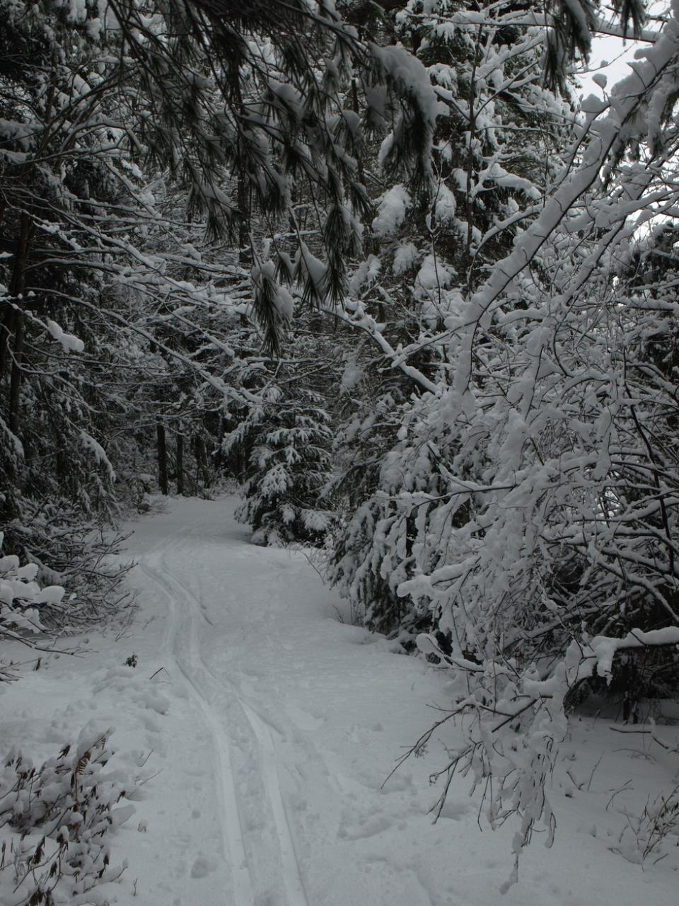 A wonderful trail for backcountry skiing or snowshoeing.