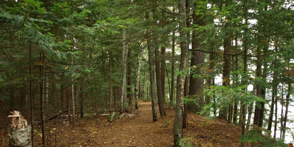 These paths can be hiked or used for trail running.