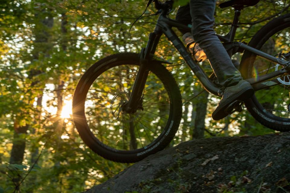 The silhouette of a mountain bike in front of a forest