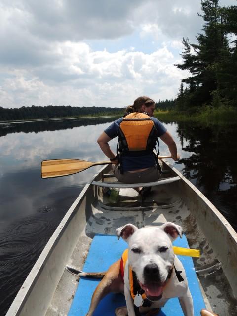 Paddling with Fido