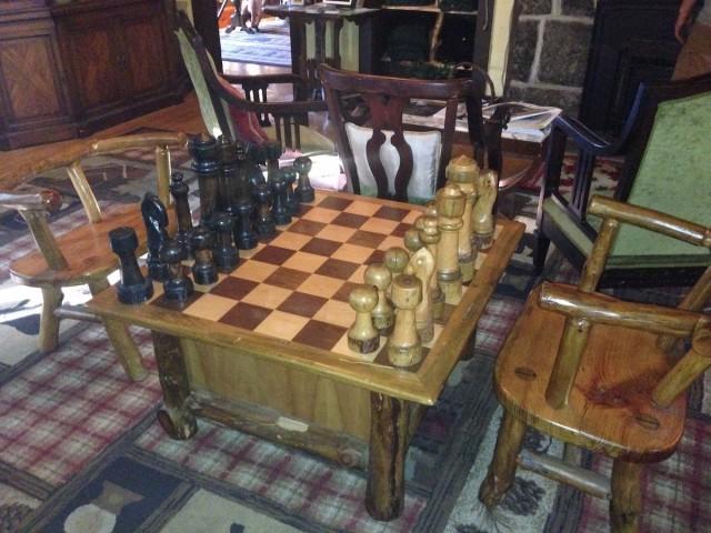 If I knew how to play chess, I would have sat down and played