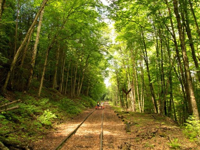 the rails are a sunny stretch of trail in the midst of untouched forest