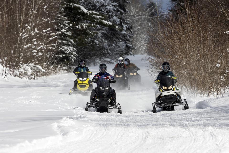 A group of snowmobilers ride through snow-covered brush.