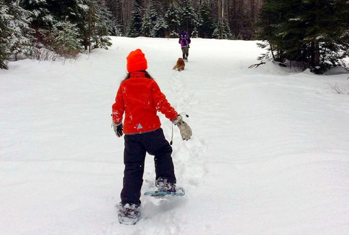 A family snowshoeing.