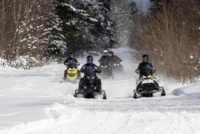 A group of snowmobilers ride through snow-covered brush.