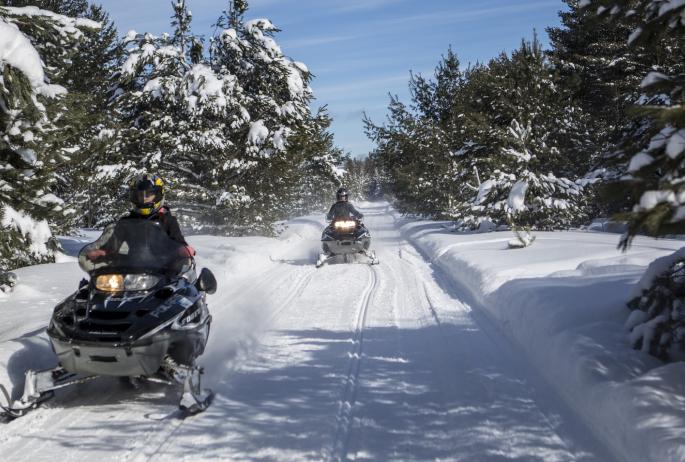 two snowmobilers ride down a snow-covered trail surrounded by evergreen trees.