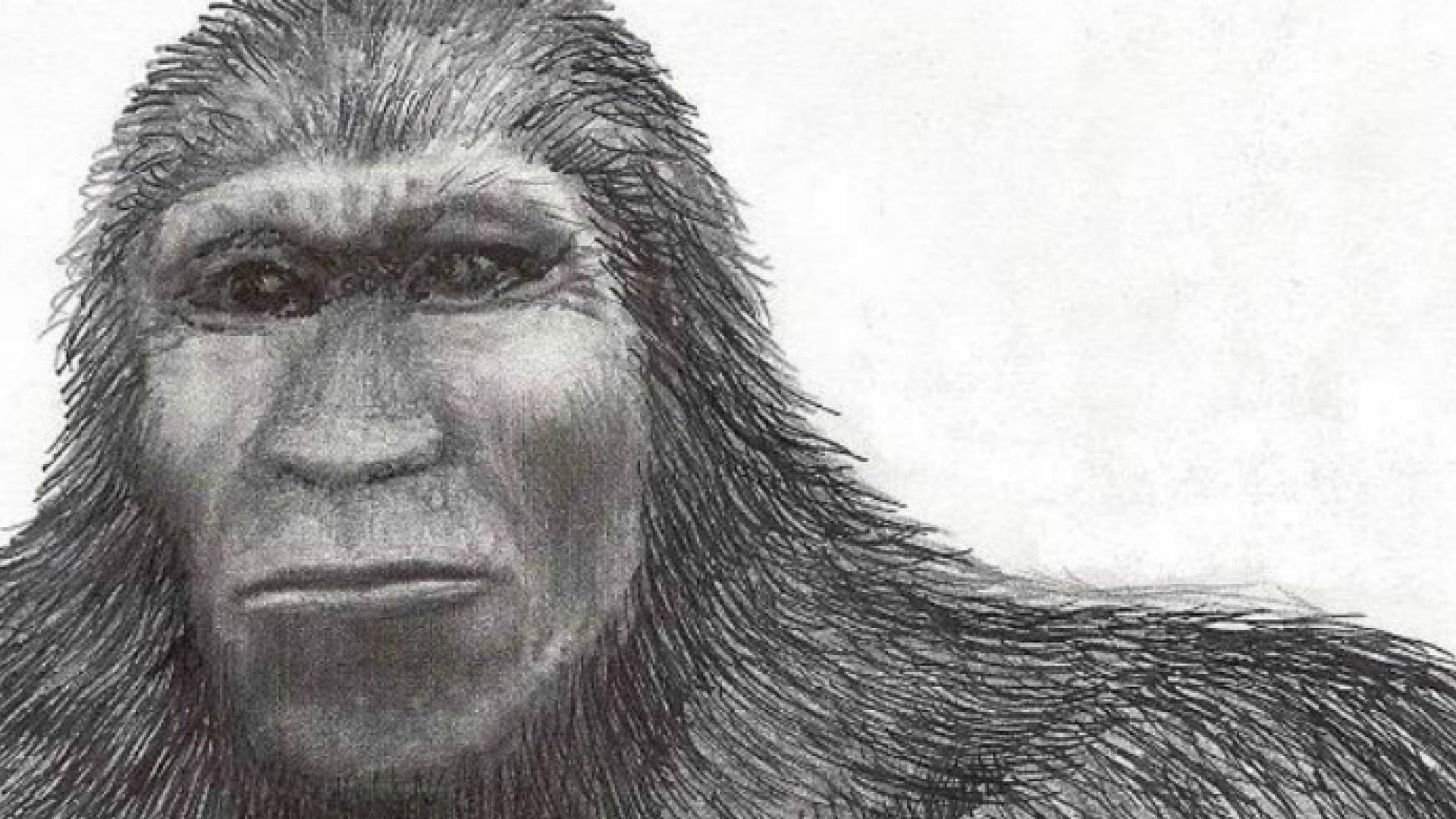 Mythical or mysterious -- search for Bigfoot alive among Montana