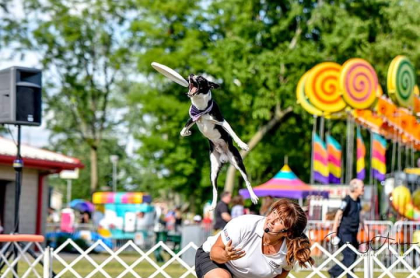 A dog jumps through the air to catch a frisbee in a fairground