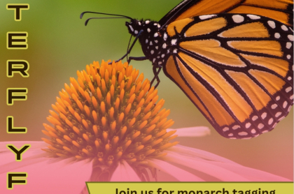 monarch butterfly on cone flower with event detail in black text over yellow box