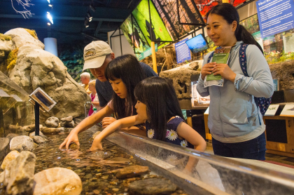 A family with two young children interact with a Wild Center water exhibit
