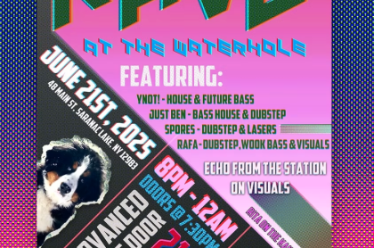 Poster displaying all the info about the Rave at the Waterhole with the addition of two cute Bernese mountain dogs.