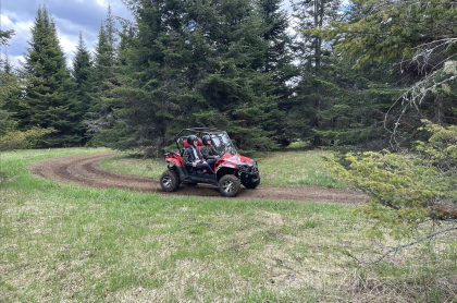 A red UTV sits on a well ridden trail in the grass in front of a large pine tree