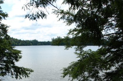 Round Pond seen from the shoreline