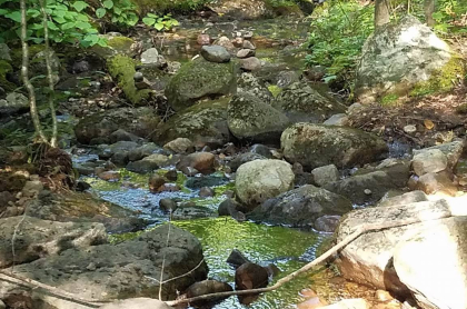 A rocky stream