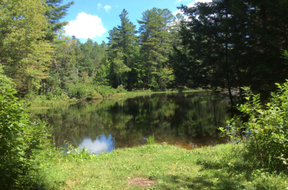 Some of the ponds have remains of early dams.