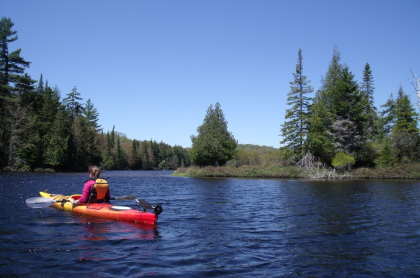 A kayaker nears the shore