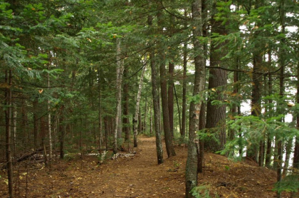 These paths can be hiked or used for trail running.