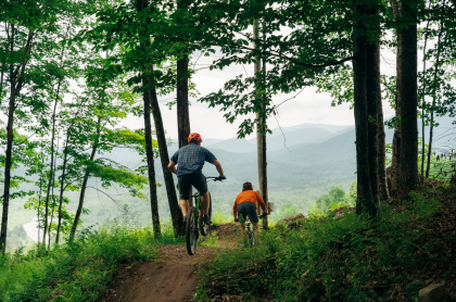 Two mountain bikers leaving the forest