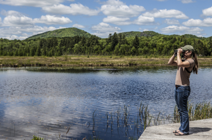 A birder looks through binoculars
