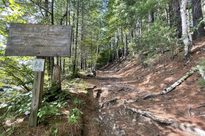 A wooden sign for The Pines trail