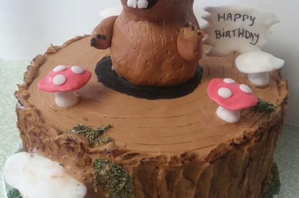A birthday cake decorated like a log with a flag