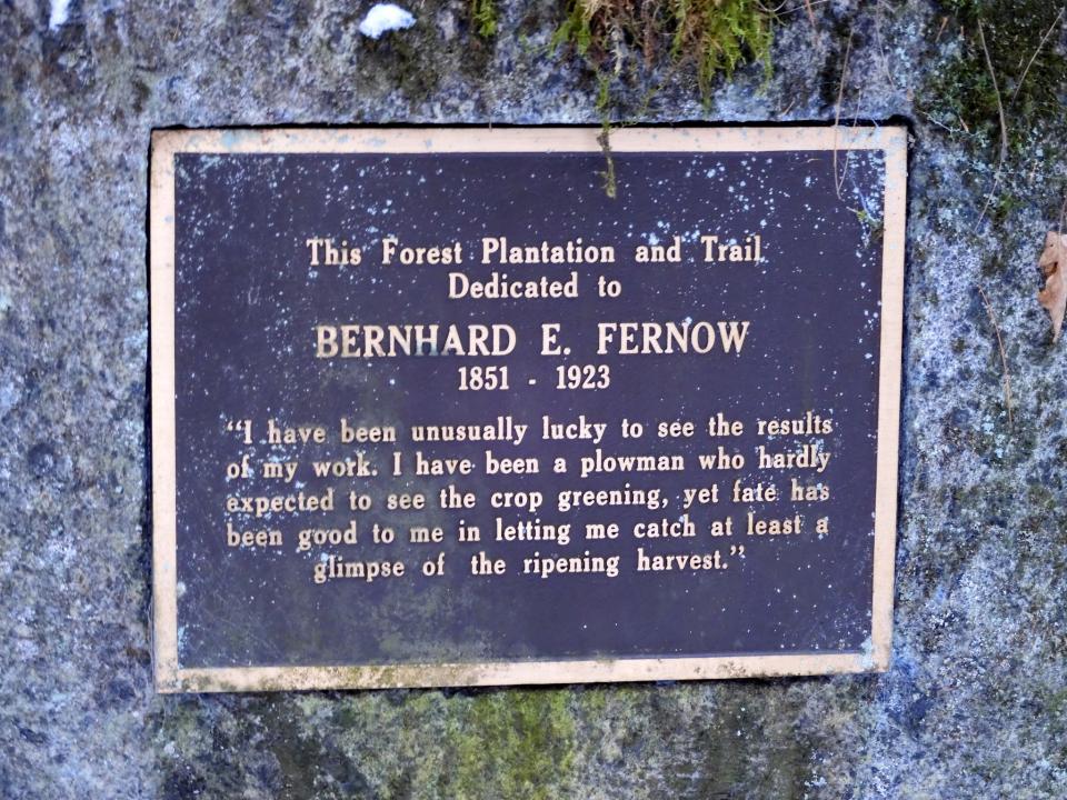 A metal plaque on a rock for B. Fernow.