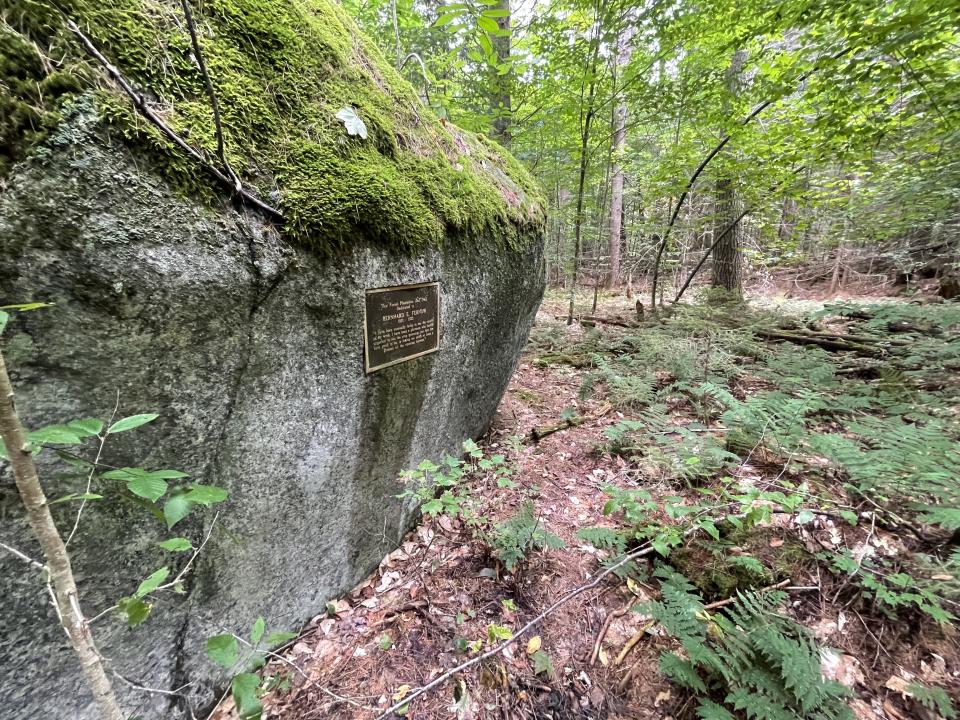 A metal plaque on a mossy rock.