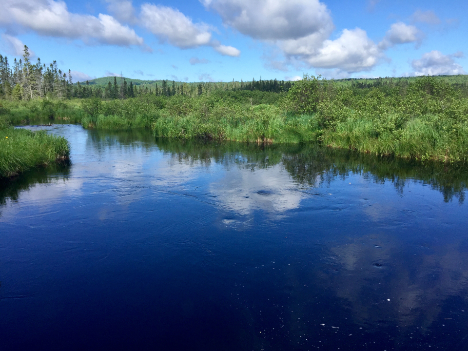 Bloomingdale Bog Trail | Saranac Lake, Adirondacks, New York