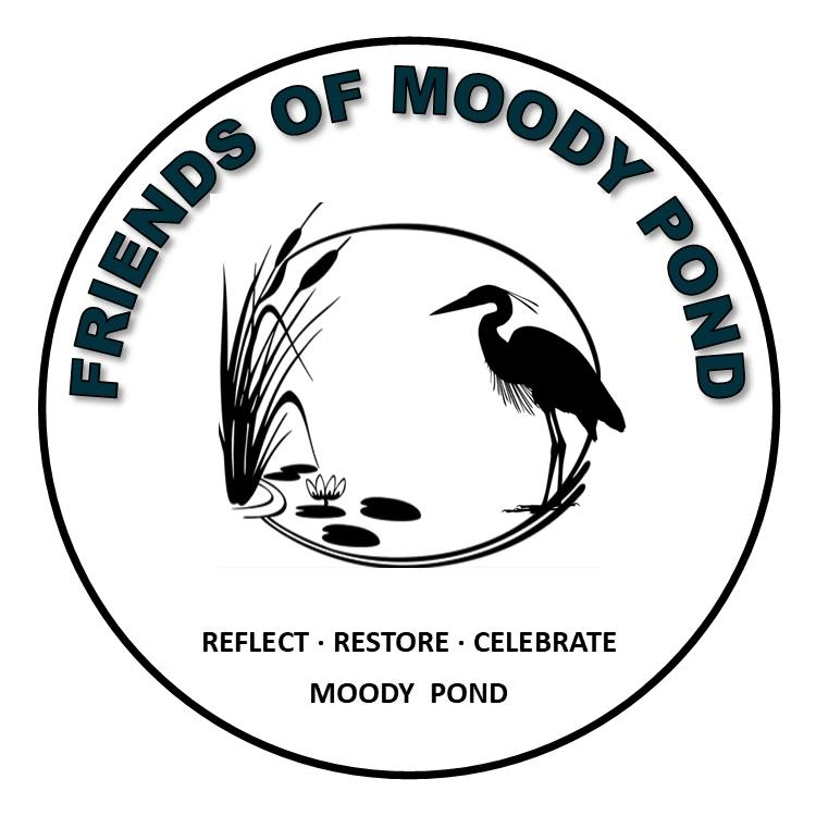 A heron and cats tails plant with Friends of Moody Pond