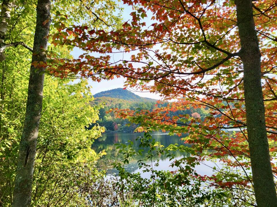 A view of Saranac Lake's fall foliage