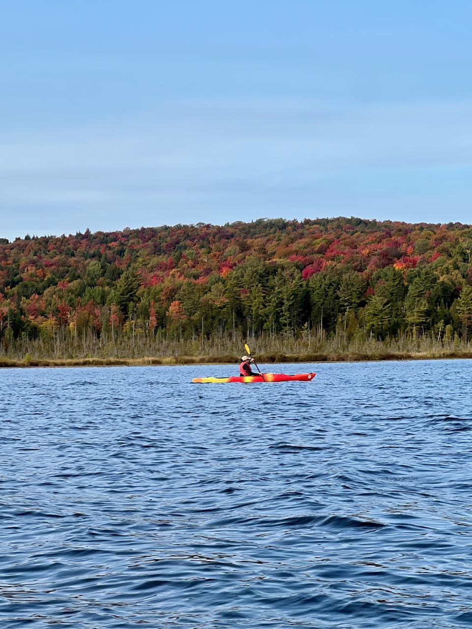 A view of a kayaker paddling a waterway with peak fall foliage on the distant shore