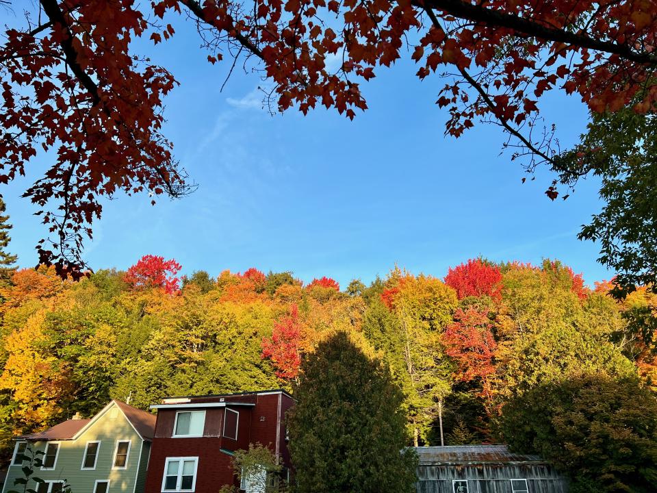 a view in the town of saranac lake showing peak fall foliage behind rooftops