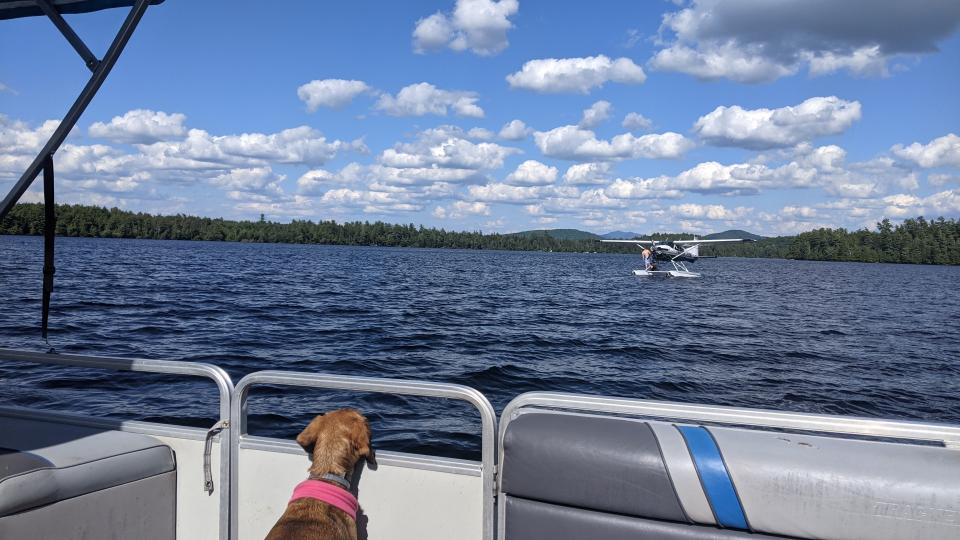 dog on pontoon boat watching seaplane land