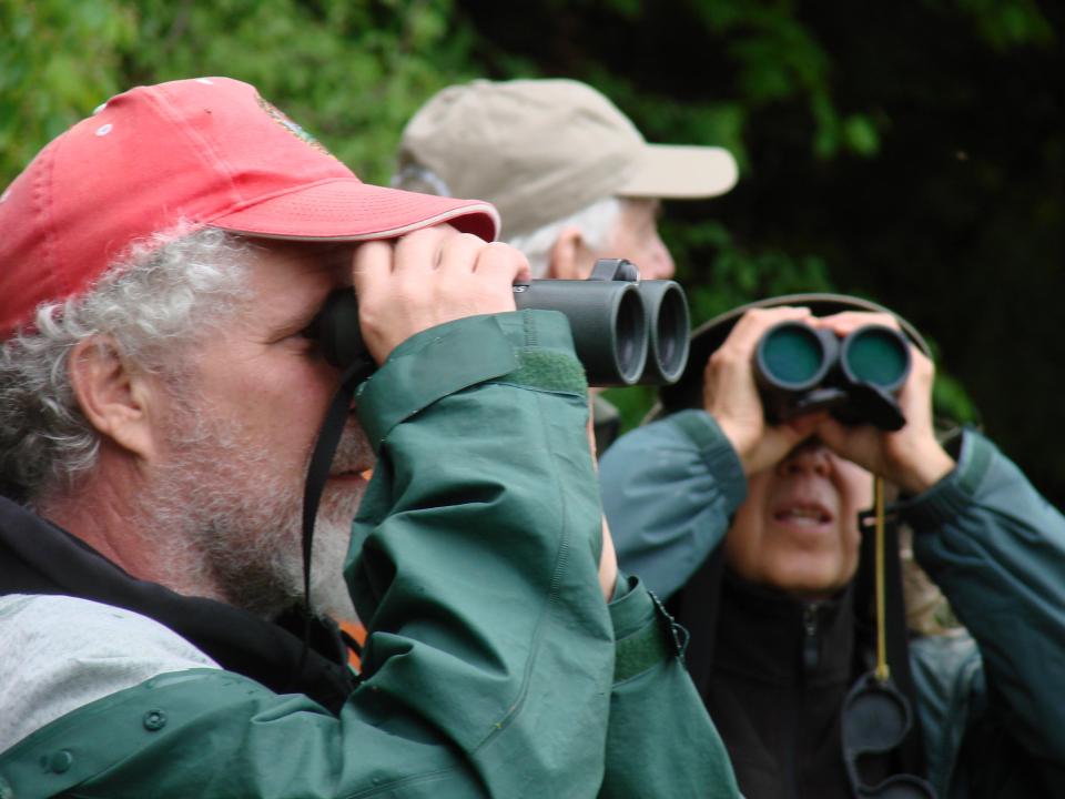 A group of three people searching for birds with binoculars.