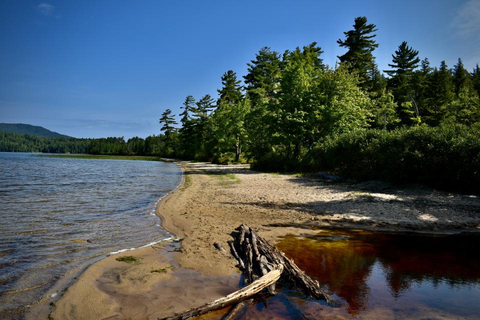 Colorful trees line the banks of an Adirondack lake with a backcountry beach and aquatic vegetation.