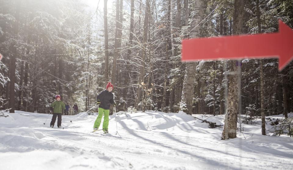Children cross-country ski on a snowy, sunny wooded trail