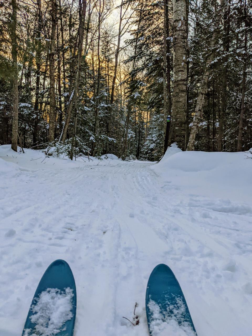 A pair of skis point towards an open, snow-covered trail through the woods.