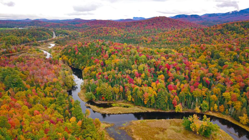 Aerial photo. Fall leaves and a winding river.