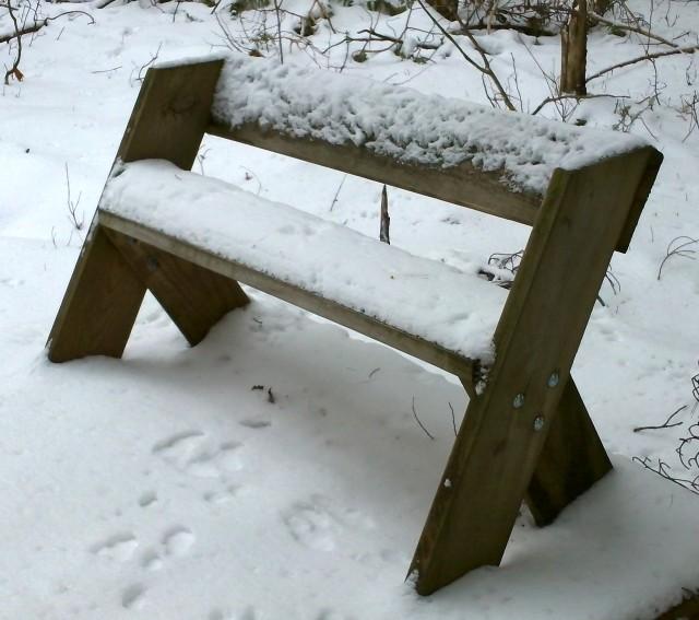 Leopold bench, in natural habitat