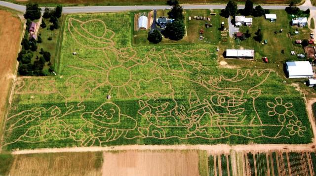 Famous Tucker Farm Corn Maze