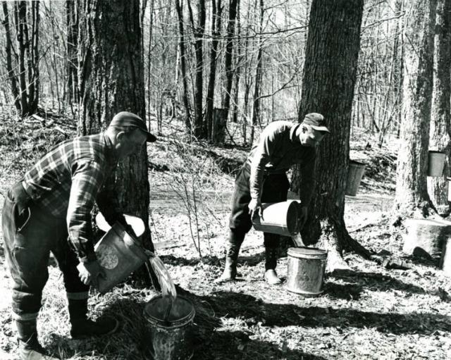 Actually, maple sugaring hasn't changed that much (courtesy Adirondack Museum)