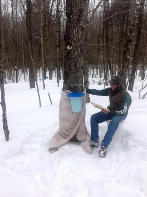 We make the finest Maple syrup in the world. Because we baby our trees.