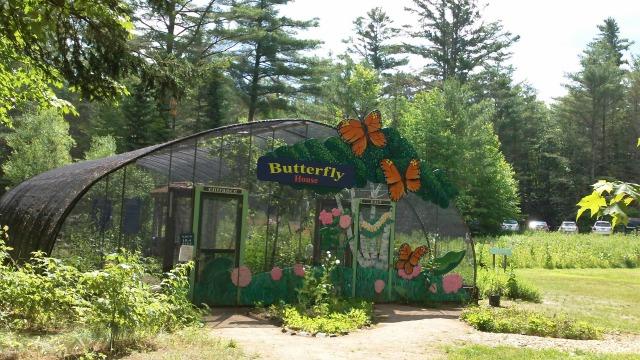 the Butterfly House lets us exist in their world, with many fun facts to share!
