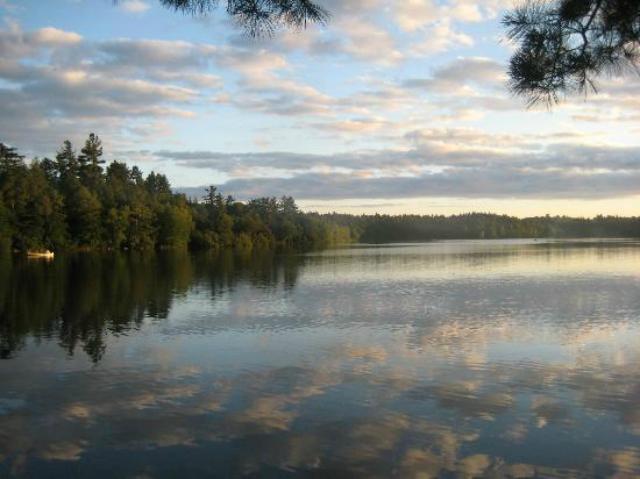 Eight of of ten campsites at Rollins Pond are directly on the water