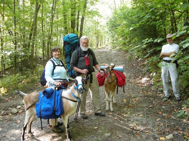 when hiking with goats, everyone wants to meet them!