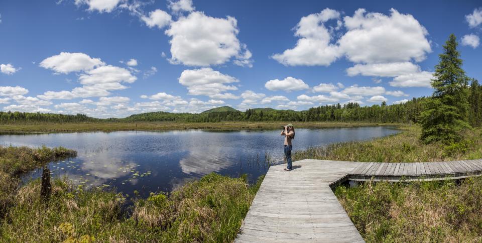 The VIC: It's Luxury Hiking! | Saranac Lake, Adirondacks, New York
