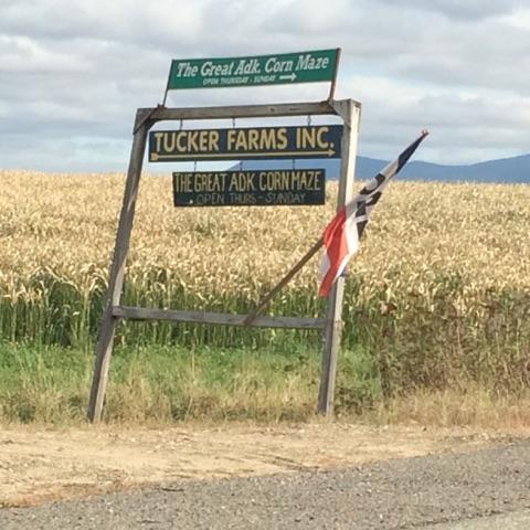 Getting to Tucker Farms will be easy while traveling Down 86 between Saranac Lake and Paul Smith's, Directions are clearly available.